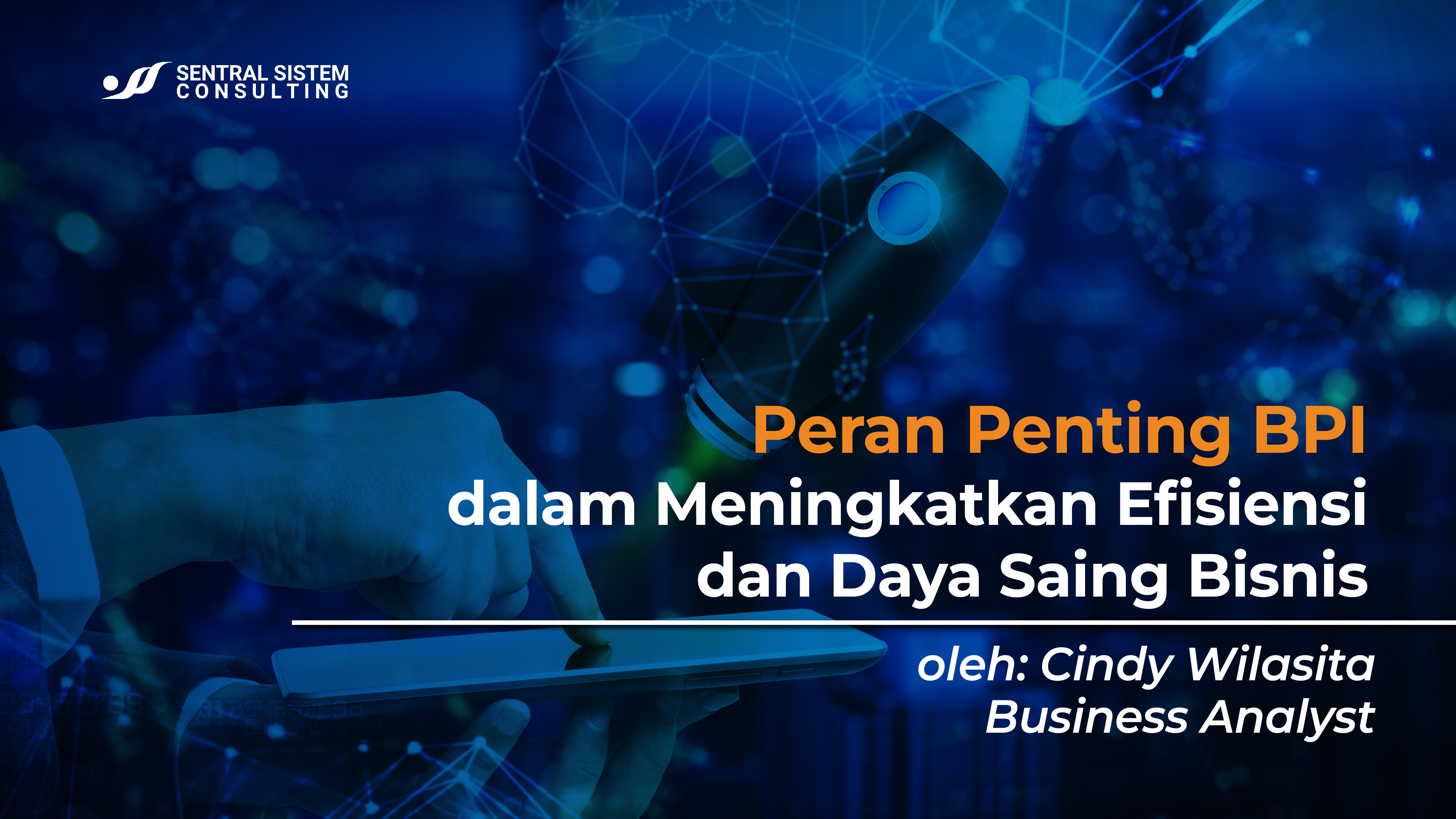 Sentral Sistem Consulting